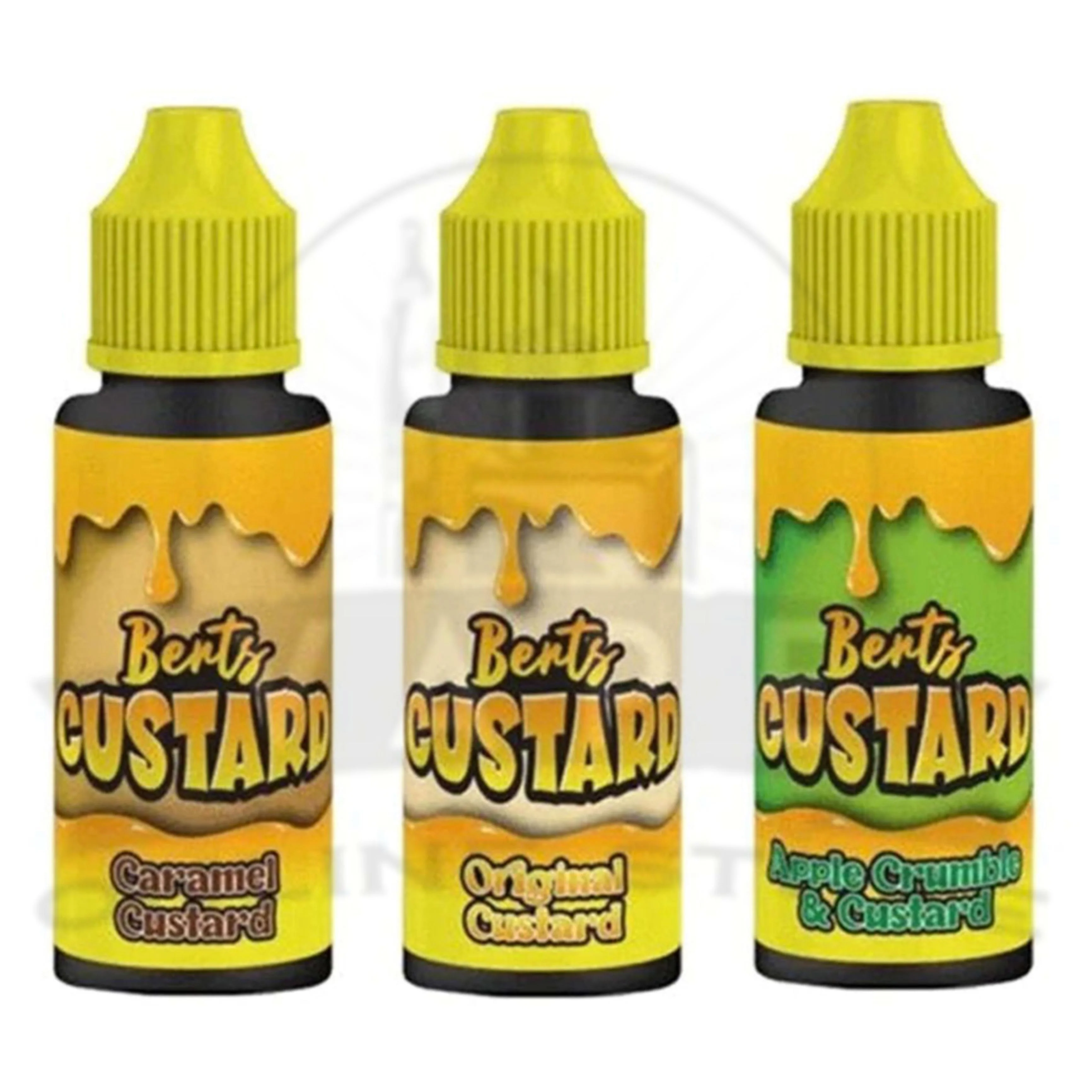 Bert Custard 100ml Shortfill E-Liquid | 70/30 VG/PG